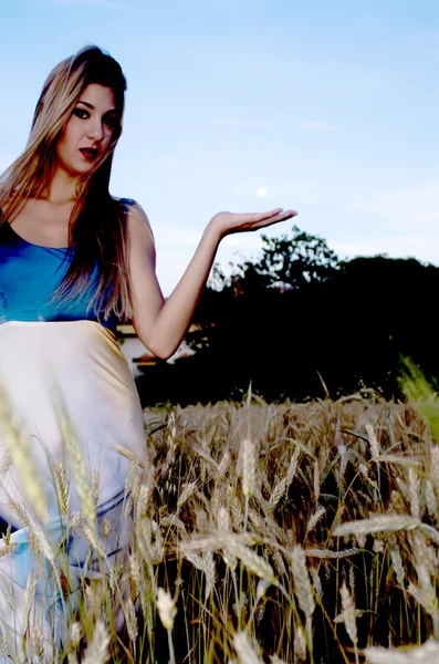 Belle femme blonde dans un champ de blé au coucher du soleil — Photo