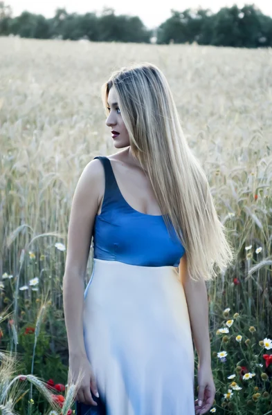 Красивая блондинка на пшеничном поле на закате — стоковое фото