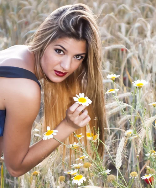 Mulher loira bonita em um campo de trigo ao pôr do sol — Fotografia de Stock
