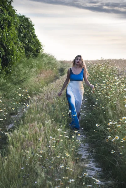 Mooie blonde vrouw in een tarweveld padtekst — Stockfoto