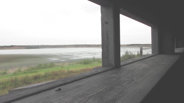 自然摄影师拍照的泻湖的鸟儿从木材的小屋 — 图库视频影像
