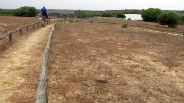 Naturfotograf promenader på landsbygden samtidigt som bilder — Stockvideo