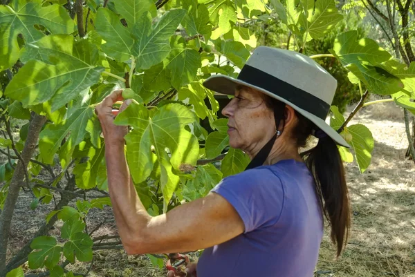 Zralá žena s kloboukem, takže práce zahradnictví — Stock fotografie