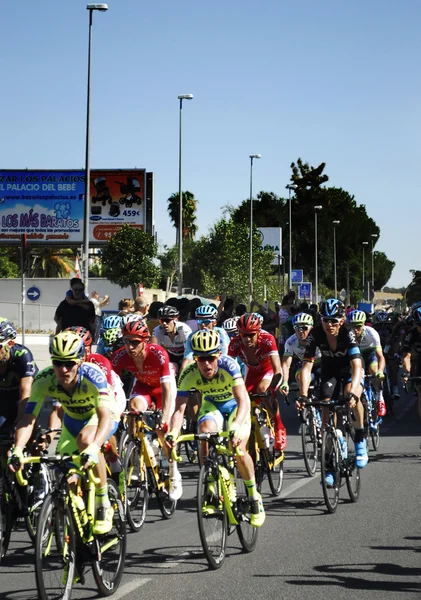 Ispanya Tour şampiyonasında Runner Bisiklet