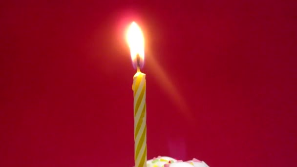 Cupcake with a lit candle — Stock Video