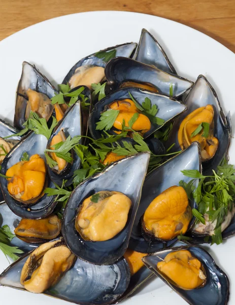 Cozze con prezzemolo — Foto Stock