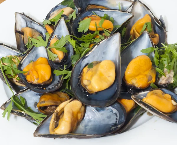 Mussels with parsley — Stock Photo, Image