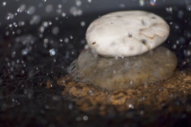 Taşları üzerine düşen su damlaları