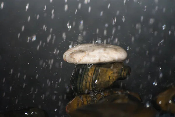 돌에 떨어지는 물 방울 — 스톡 사진