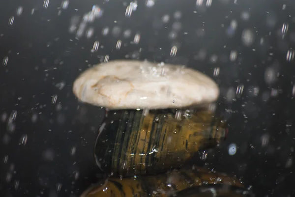 Gotas de agua cayendo sobre piedras — Foto de Stock