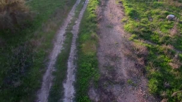 Vista aérea de um campo com árvores e uma estrada — Vídeo de Stock