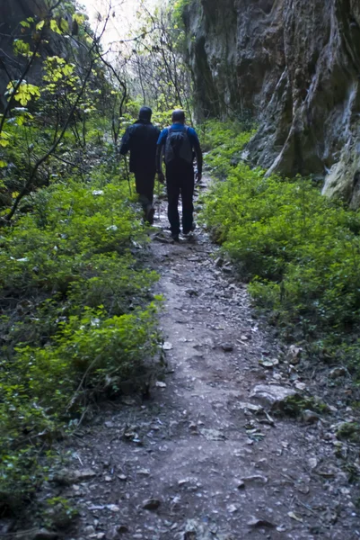 Two Hikers on a trail hiking — Stock Photo, Image