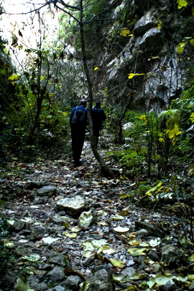 Två vandrare på en trail vandring — Stockfoto