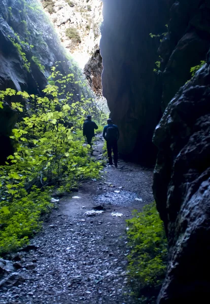 Hiking bir iz üzerinde iki yürüyüşçü — Stok fotoğraf