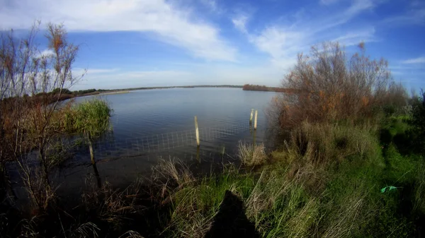 Panoramic view of a lake — Stock Photo, Image