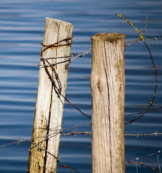 Postes en el agua con alambre de púas —  Fotos de Stock