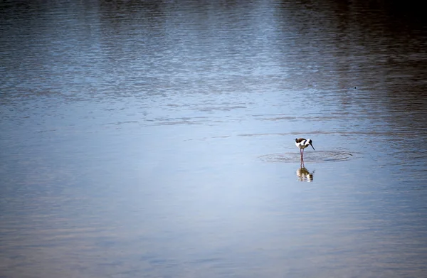 Blick auf einen See — Stockfoto