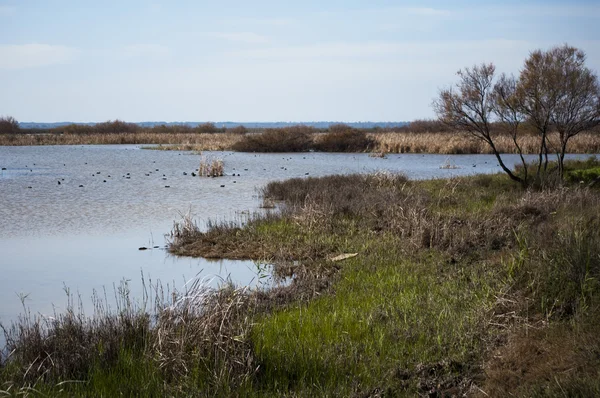 Panoramic view of a lake — Stock Photo, Image