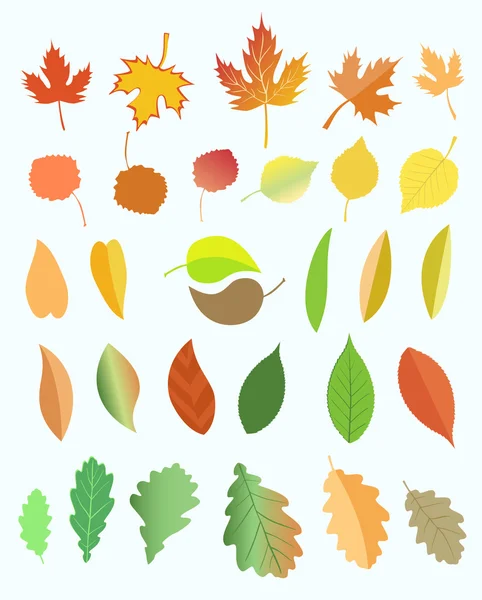 Ensemble de feuilles d'automne colorées. — Image vectorielle