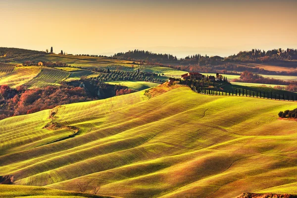 Tuscany tavasszal, dombok, a sunset. Vidéki táj. Zöld — Stock Fotó