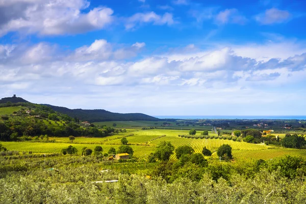 Bolgheri a Castagneto vinice a ostrov Elba. Toskánské oblasti Maremma — Stock fotografie