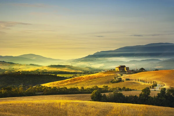 Tuscany wiosna, pagórków, na zachód słońca. Wiejski krajobraz. Zielony — Zdjęcie stockowe