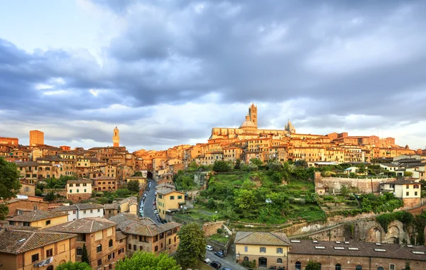 Siena zonsondergang panoramisch skyline. Mangia toren en de kathedraal duomo — Stockfoto