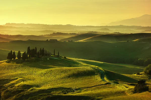 Tuscany tavasszal, dombok, a sunset. Vidéki táj. Zöld — Stock Fotó