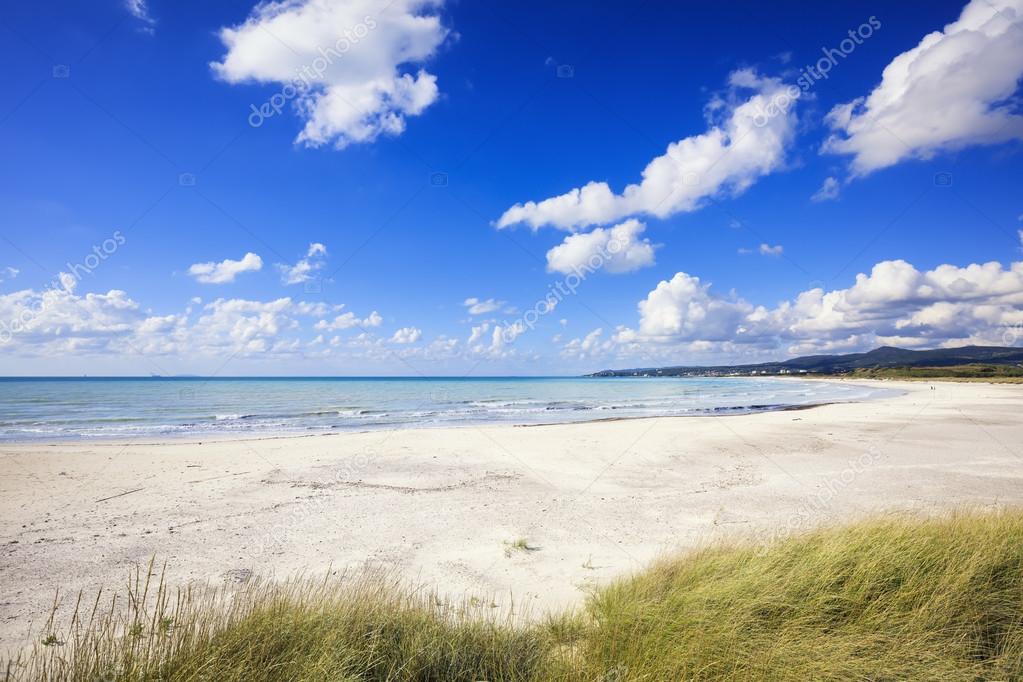 Mare Il 90 Per Cento Delle Spiagge Ha Lacqua Pulita Ma I