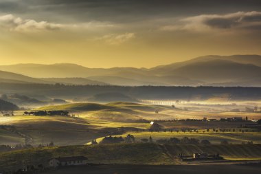 Toskana Maremma sisli sabah, tarım arazileri ve yeşil alanlar. İtalya