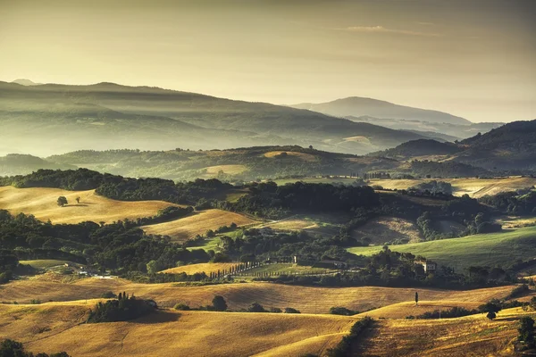 Toscana Maremma manhã nebulosa, terras agrícolas e campos verdes. Itália — Fotografia de Stock