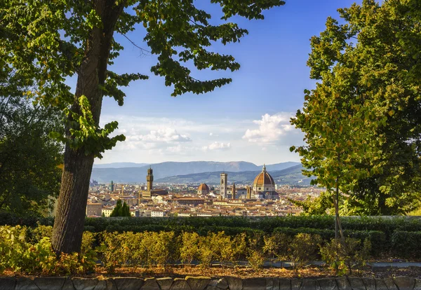 Paisaje urbano aéreo al atardecer de Florencia o Florencia desde un jardín público — Foto de Stock