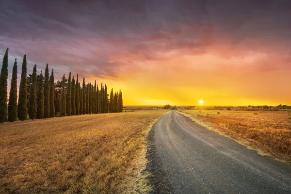 Zonsondergang landschap bij slecht weer. Landelijke weg en cipres bomen. M — Stockfoto