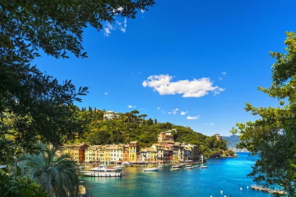 Portofino luxus falu landmark, légifelvételek és a fák. Liguri — Stock Fotó