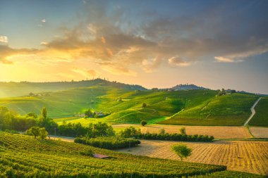Langhe üzüm bağları günbatımı manzarası, Barolo ve La Morra, Unesco Sitesi, Piedmont, Kuzey İtalya Avrupa.