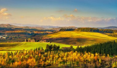Castellina in Chianti landscape, vineyards and cypress trees in autumn. Tuscany, Italy, Europe. clipart