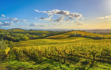 Gaiole in Chianti vineyard and panorama at sunset in autumn. Tuscany, Italy Europe. clipart