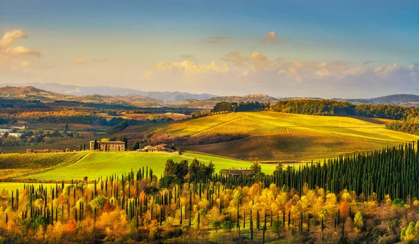 Castellina Chianti Paesaggio Vigneti Cipressi Autunno Toscana Italia Europa — Foto Stock