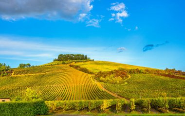 Sonbahar mevsimi sabahları tepe ve üzüm bağları. Castellina Chianti, Toskana, İtalya, Avrupa.