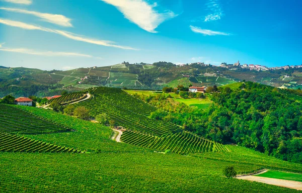 Panorama Winnic Langhe Wioski Diano Alba Unesco Site Piemont Północne — Zdjęcie stockowe