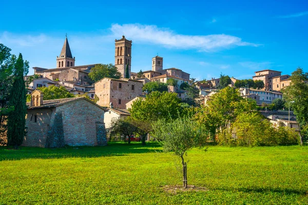 Spello Middeleeuws Dorp Olijfboom Perugia Umbrië Italië Europa — Stockfoto