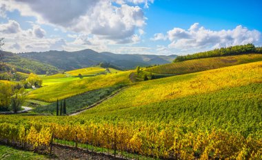 Sonbaharda Chianti üzüm bağı ve panorama 'da Radda. Toskana, İtalya Avrupa.