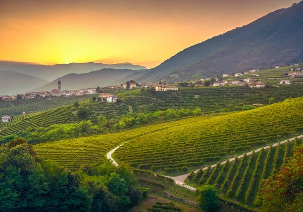 Prosecco Hills Wijngaarden San Pietro Barbozza Dorp Bij Zonsondergang Unesco — Stockfoto