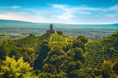 Prosecco Hills, üzüm bağları ve San Lorenzo kilisesi. Unesco Sitesi. Farra di Soligo. Veneto, İtalya, Avrupa.