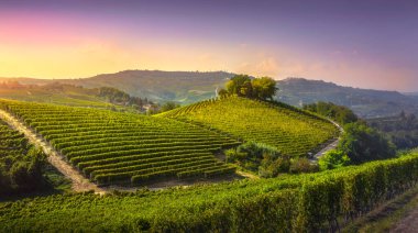 Langhe üzüm bağları ve tepenin üstünde. La Morra. Unesco Sitesi, Piedmont, Kuzey İtalya, Avrupa.