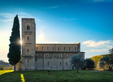 Sabah Sant Antimo Manastırı, zeytin ve selvi ağaçları. Montalcino 'da. Toskana, İtalya
