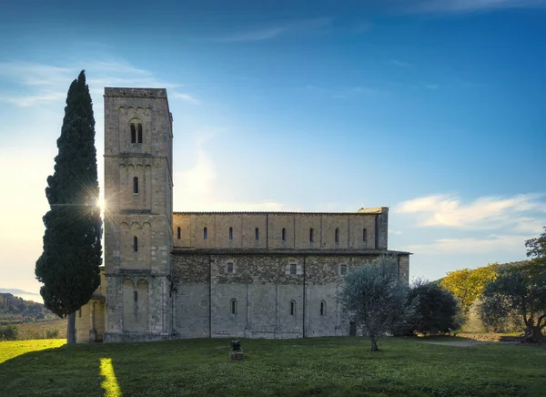 Sant Antimo Abdij Ochtend Olijf Cipressen Bomen Een Montalcino Toscane — Stockfoto