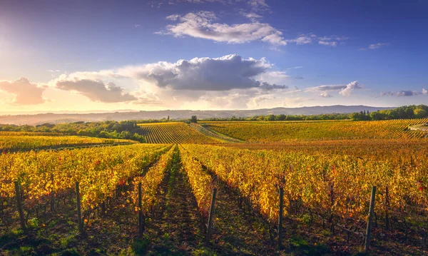 Gaiole Στο Chianti Αμπελώνα Και Πανόραμα Στο Ηλιοβασίλεμα Φθινόπωρο Τοσκάνη — Φωτογραφία Αρχείου