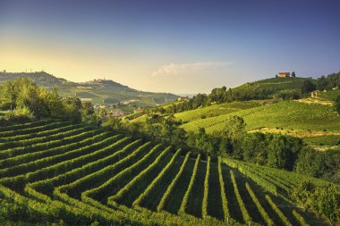 Langhe üzüm bağları günbatımı manzarası, Barolo ve La Morra, Unesco Sitesi, Piedmont, Kuzey İtalya Avrupa.