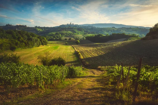 Panoramiczny Widok Wiejskie Winnice Chianti Vernaccia San Gimignano Zachodzie Słońca — Zdjęcie stockowe